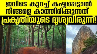 കാടും കടന്ന് എത്തിയത് ഇതിനായിരുന്നോ? | Exploring Kudukkathupara | #travelogue #inshortmallu #youtube