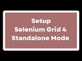 How to setup Selenium Grid 4 in Standalone mode | Run automation tests in parallel using grid