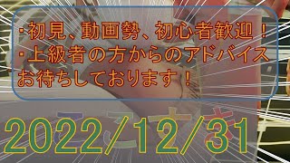 【ランクマ】2022年の総決算をしたいSTREET FIGHTER V【ジュリ／ウルトラダイヤ】