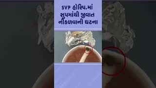 અમદાવાદ: SVP હોસ્પિ માં સુપમાંથી જીવાત નીકળવાની ઘટના | #ahmedabad #svphospital | TV9Gujarati