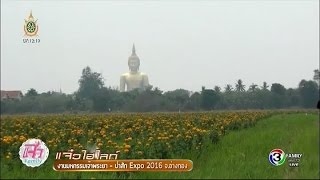 แจ๋วไฮไลท์ | งานมหกรรมเจ้าพระยา - ป่าสัก Expo 2016 จ.อ่างทอง | 18-07-59 | TV3 Official