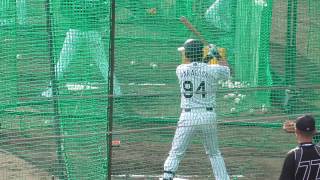 【プロ野球】2016.11.6  阪神　2016秋季キャンプ　野手陣　『フリーバッティング②、トスバッティング』