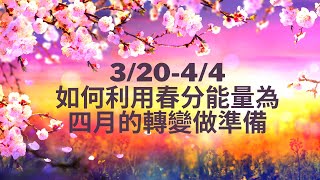 3/20. 21. 22 春分來了🧚🏻‍♀️🌸🌷利用春分能量門戶為自己除舊佈新，轉化生命中的挑戰，成為全新的自己