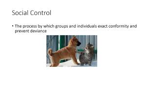 09 Deviance & Social Control