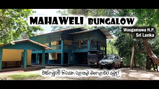 Mahaweli Circuit Bungalow | Review | Wasgamuwa National Park | Sri Lanka