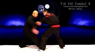 Tai Chi Fight preview