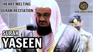 Surah Yasin (Yaseen):Sheikh Shuraim | Heart Melting Quran recitation | The holy dvd