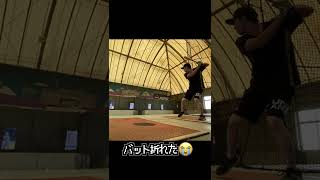 バット折れた Bat Breaking #shorts #野球 #baseball #とべの野球動画