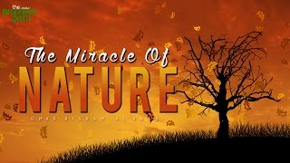 The Miracle Of Nature - Facts From The Quran