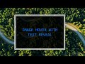 IMAGE HOVER WITH TEXT REVEAL | Text Reveal on Image Hover | PURE  CSS | HTML CSS TUTORIAL