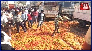 Farmers Dump Tonnes Of Tomatoes On Road In Chhattisgarh