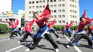 「 獅子虎隊 」安濃津よさこい2019【津駅前】