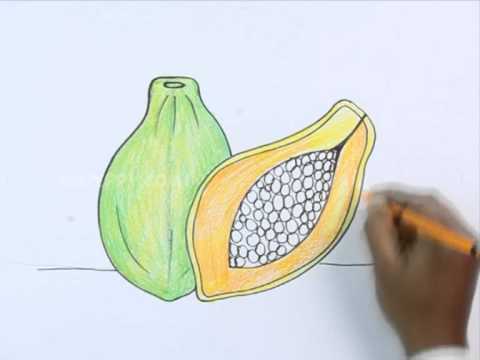 How To Draw A Papaya - YouTube