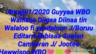 #Ethiopian haadha dhiiga diinatin   #Amajjii 1/2020 guyyaa WBO wallisaa diigaa diinaa tin walaloo fi