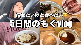 【食事記録】痩せたいけど食べたいもぐvlog/海の幸/1人運転/1人ランチ