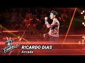 Ricardo Dias - 