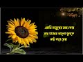 কঠিন বাস্তব কিছু কথা best motivational quotes and inspirational speech in bangla bani