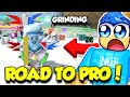 ROAD TO BECOMING A PRO IN ROBLOX BEE SWARM SIMULATOR!!