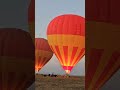 Amazing balloon safaris, Maasai Mara #wildlife #maasaimara #travelmasaimara