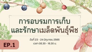 การเก็บและรักษาเมล็ดพันธุ์พืช EP.1 - DSNC Seed Bank