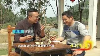 《生财有道》 20191216 生态中国乡村行 湖南宁乡：茶油真是好 荒山变银行| CCTV财经