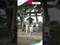 白兎神社編 鳥取うさぎダンス　 shorts