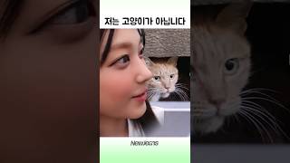 강해린 고양이 맞잖아 ㅋ