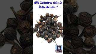 తోక మిర్యాల గురించి మీకు తెలుసా..?#telugu #shorts #free #pepper #viral #okfacts #trending #block