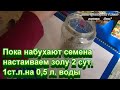 Подробно об обработке семян в 4 этапа