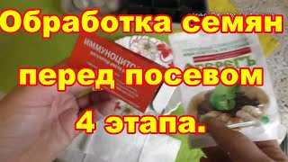 Подробно об обработке семян в 4 этапа