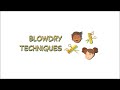 Beginner Hair Tutorials, How To Blowdry Hair for Haircutting and Styling