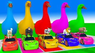 5 Giant Duck Cartoon,Cow,Elephant,Tiger,Lion,Dinosaur,Paint Wild Animals Crossing Fountain Animation