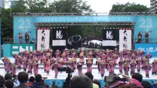 新琴似天舞龍神　～2014YOSAKOIソーラン祭り(セミファイナル)