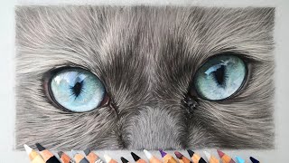 Cat eye tutorial with Pastel Pencils + Tonsillitis