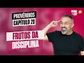 FRUTOS DA DISCIPLINA | PROVÉRBIOS, CAPÍTULO 29 | PENSE E ORE