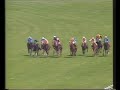 1992 jersey stakes