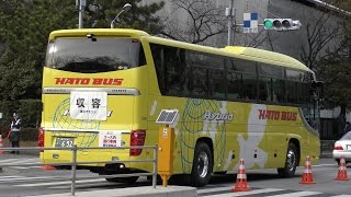 【4K動画】東京マラソン2017（39km地点）最後のランナー（拾う人々） Tokyo Marason