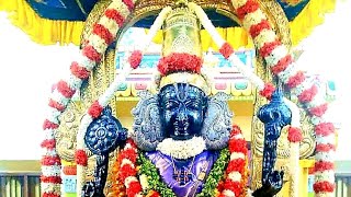 Athi Varadar நீல நிறப் பட்டாடை செண்பகப் பூ மாலை அணிந்து நின்ற கோலத்தில்  காட்சி