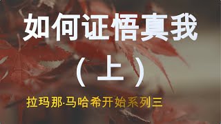 如何证悟真我（上）--- 拉玛那·马哈希开示系列三