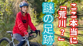 都内から近い荒川グラベルロードバイク遊び【衝撃】謎の動物の足跡を発見！熊の気配を感じた瞬間?