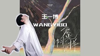 像阳光那样 - 王一博（中文字幕）WANG YIBO \