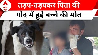 Ghaziabad Dog Case: कुत्ते ने काटा तो घरवालों से छुपाया, तड़पते हुए गई 14 साल के मासूम की जान