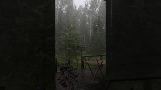 Vertical Heavy Rain Video 1 hour