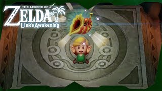 Bottle Grotto Dungeon Walkthrough | Zelda: Link's Awakening for Switch ᴴᴰ