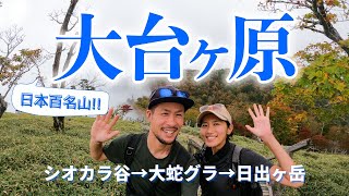 【大台ヶ原 登山】 秋の紅葉を見つつ、霧の合間から絶景大蛇グラ見れました!!