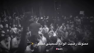 ممنونك حسين || محمد معتمدي الكربلائي