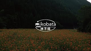 mikobata －神子畑－