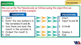 Basics of Algorithm and Pseudocode and the differences between them.