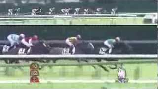 2013年 2歳新馬 / グリサージュ