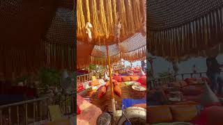 Is Farsha the best café in #egypt #sharmelsheikh #beach #lounge #cafe #travel #shorts